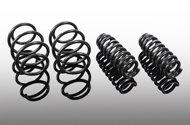 BMW 3 Series G20/G21 AC Schnitzer Lowering Spring Kit