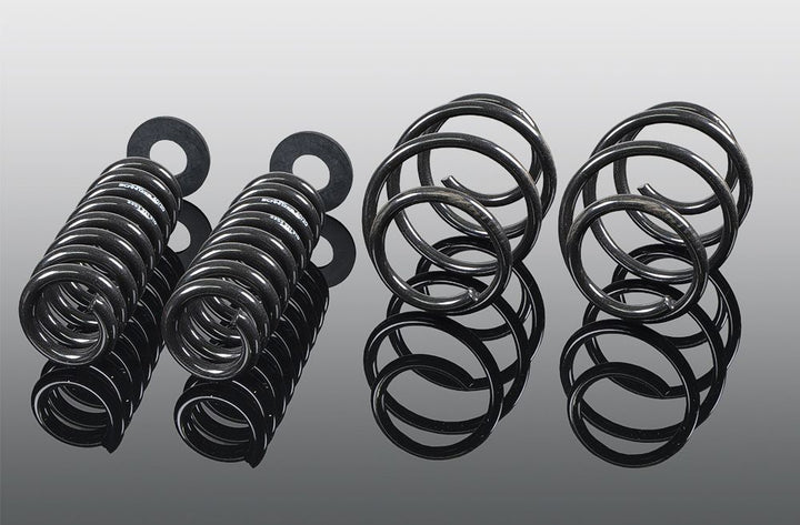 BMW 3 Series G20/G21 AC Schnitzer Lowering Spring Kit